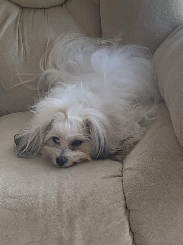 Chilling out on the couch after having breakfast.