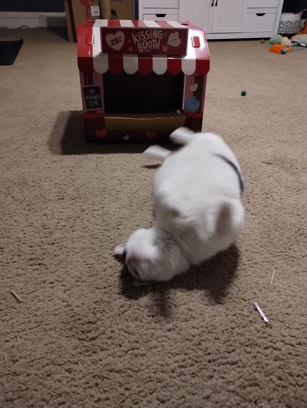 Do you think the loved it? I do 🥰