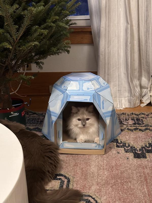 Frisco Igloo Cardboard Cat House