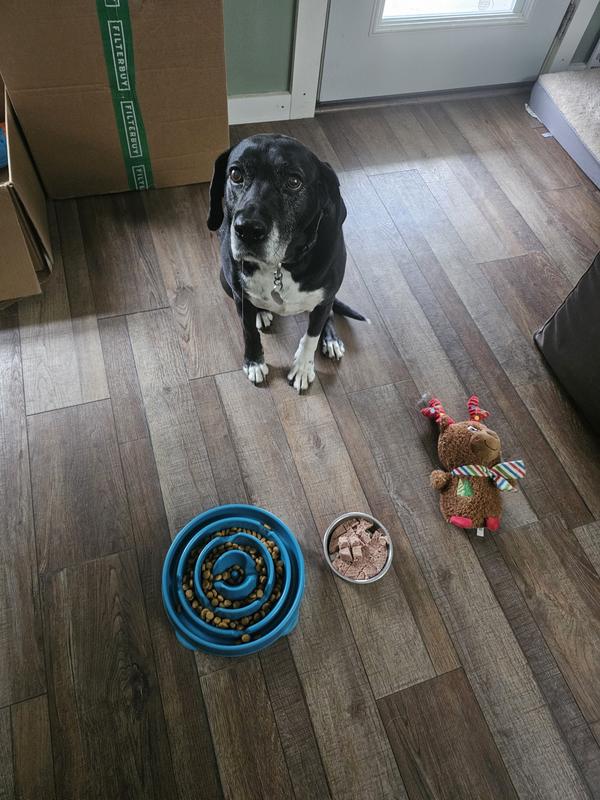 Tested by an independent Lab-mix!