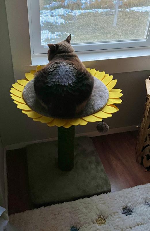 FRISCO Sunflower Cat Scratching Post, Single Post