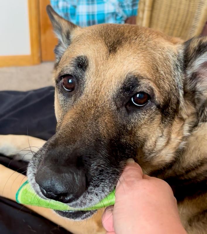 Zelda shakes her lime!