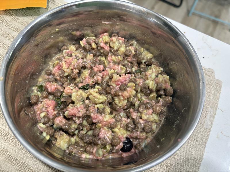 Kibble mixed with raw & fresh cooked.