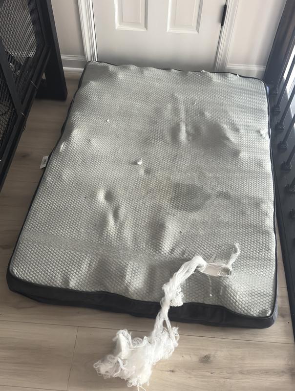 The worst quality! The bed looks like this after a week of the fabric cover and the memory foam