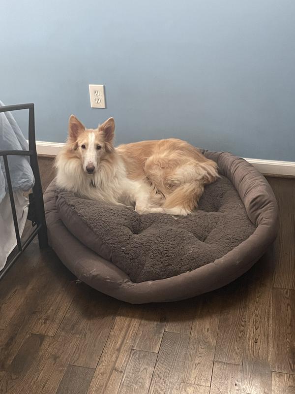 Tippy loves this bed!