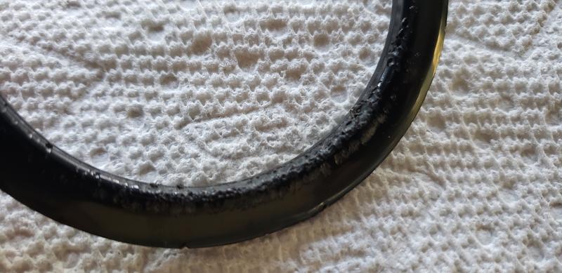 Bite marks from the cats attempt to remove it from around her neck!