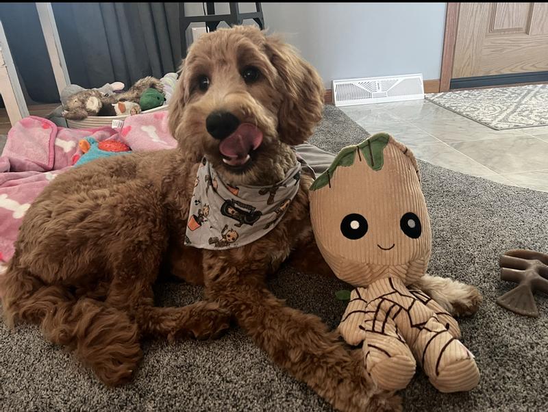 Baby groot best sale dog toy