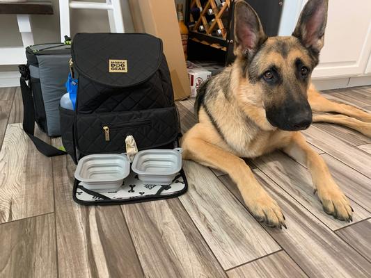 Overland dog outlet backpack