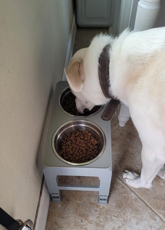 A couple of days later, making his preference known