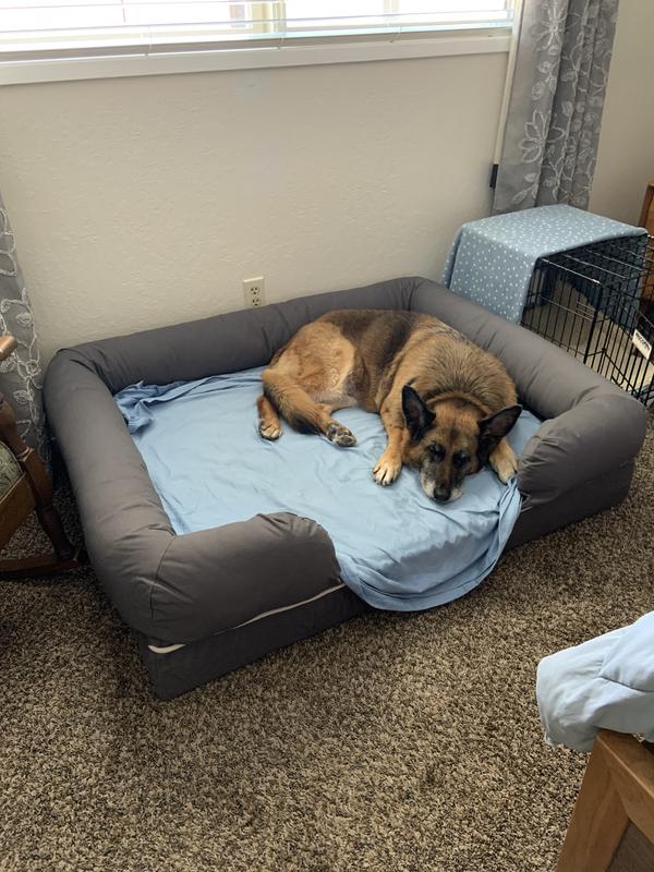 PETFUSION Ultimate Lounge Memory Foam Bolster Cat & Dog Bed w/Removable Cover, Gray, Large