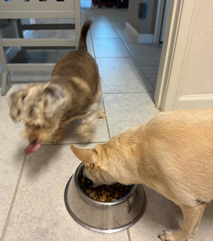 Sasha smacking her lips