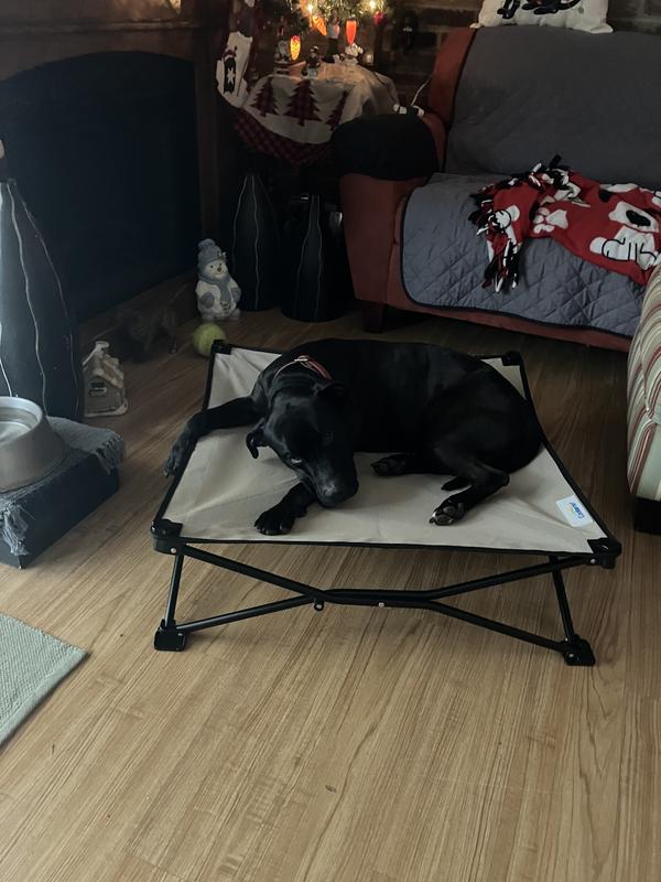 My boy loves his Christmas present!