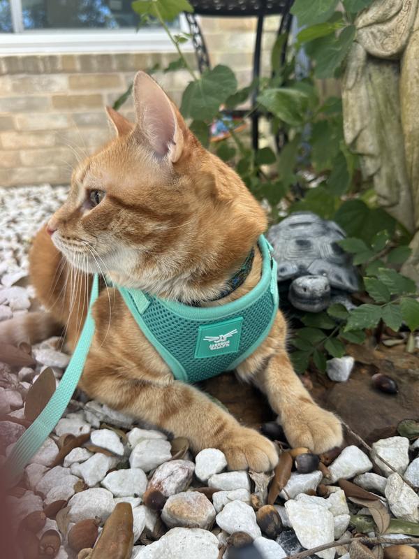 I love the color contrast here!