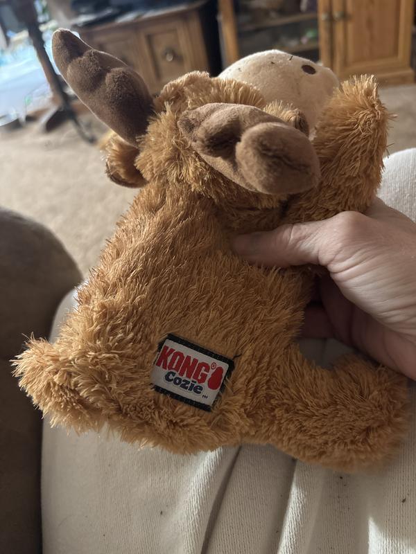 Shameful embarrassment