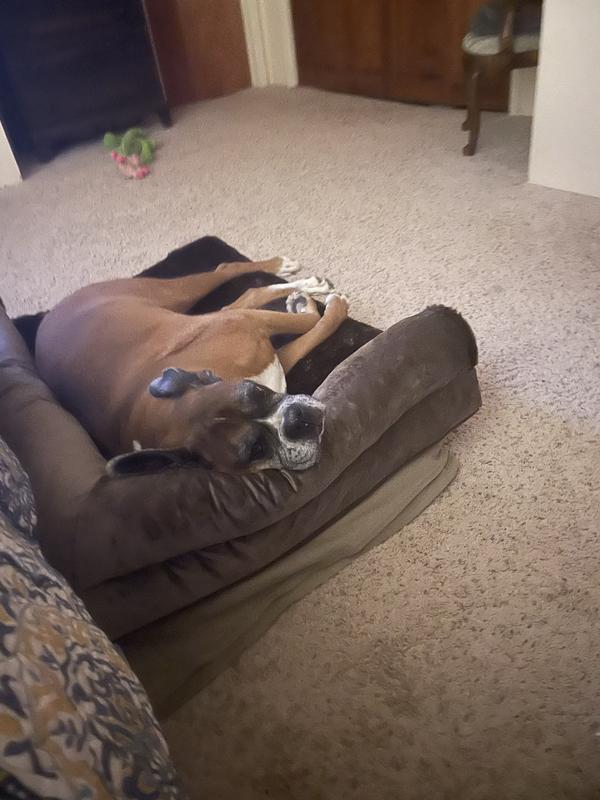 Ahhhhhhhh!
