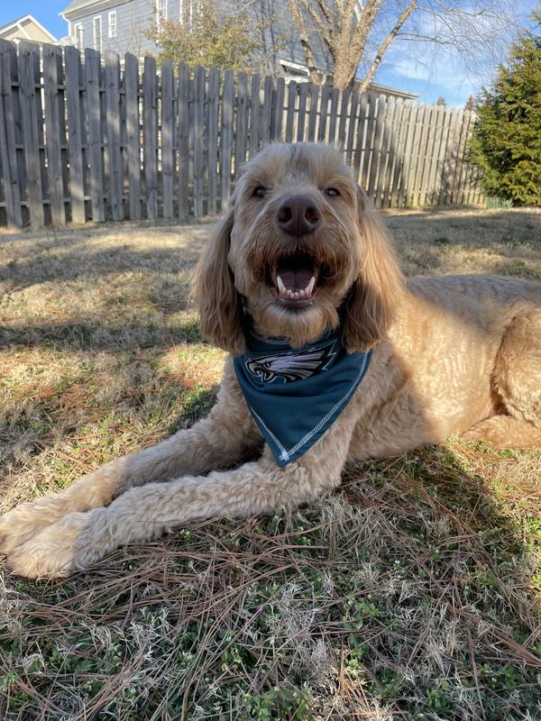 Ready for the big game