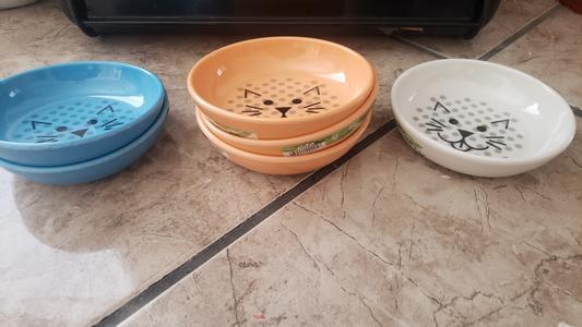 Ecoware cat hot sale dish