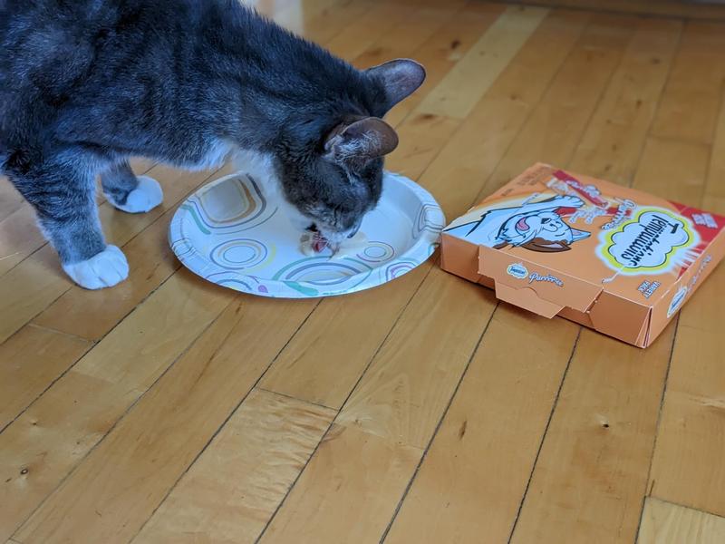 Licking the plate clean