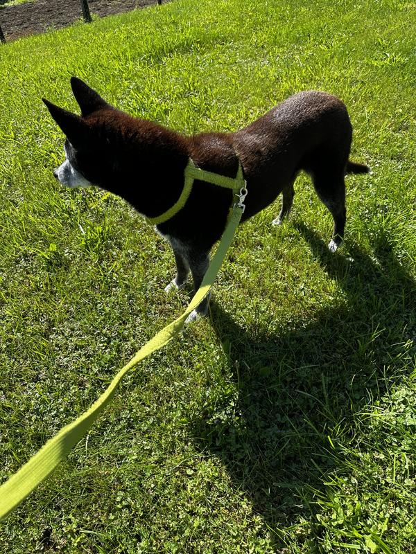 Easily slides a bit sideways