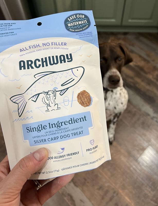 Fig is interested in what’s in this bag!