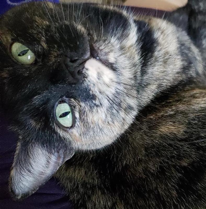 Olive trying to tell me she was innocent