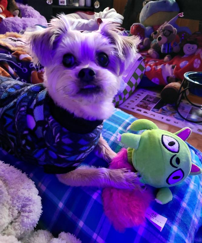 HYPER PET Monster Pal Interactive Plush Dog Toy