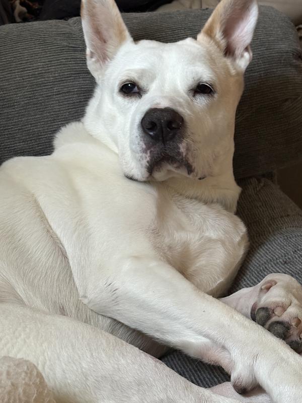 I’m a crave boy. I don’t eat anything else