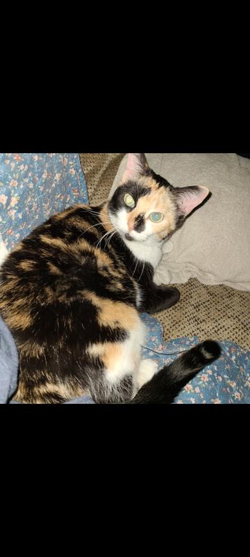 Pretty girl, pretty pain in butt :(