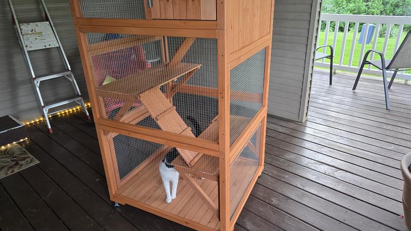 My new cat house.