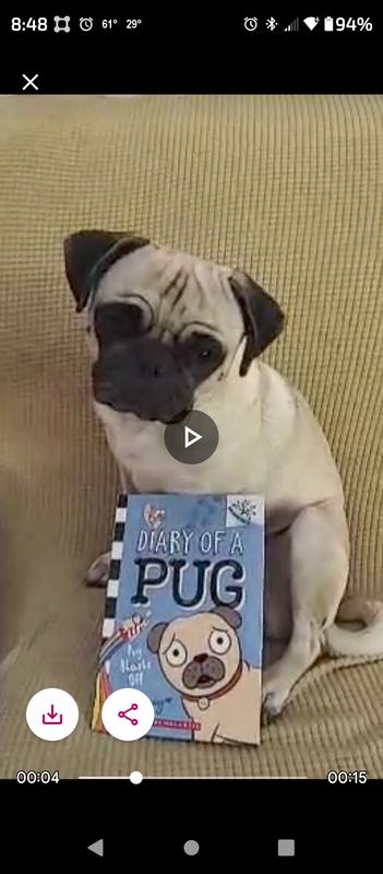 Happy pug happy family