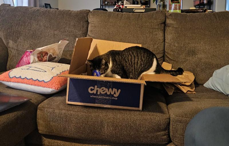 ...Bitty the kitty ate through the bag! We hadn't even taken the bag out of the Chewy Box yet!!