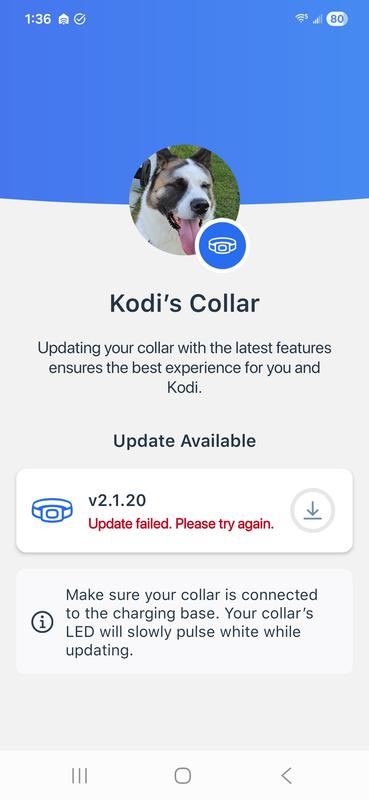 The app would have errors and I would have to close it and reopen several times