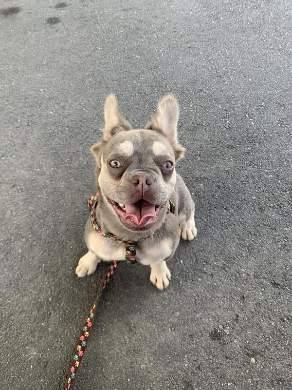 Gretchen happy face