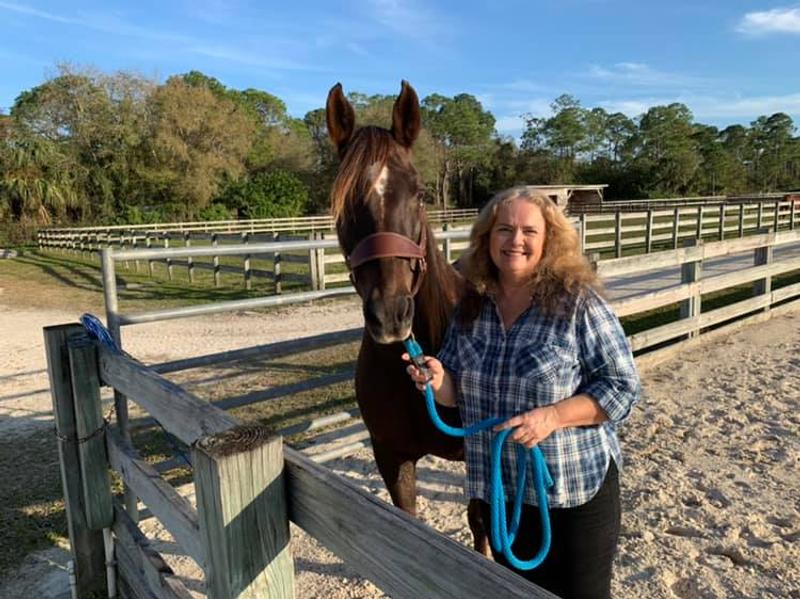 Sugar, my Morgan mare, loves this halter and so do I!