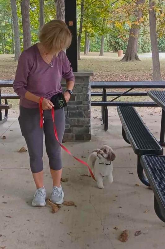 Building wonderful connections