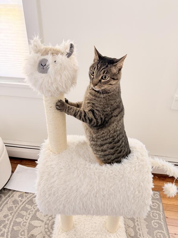 riding his steed into battle