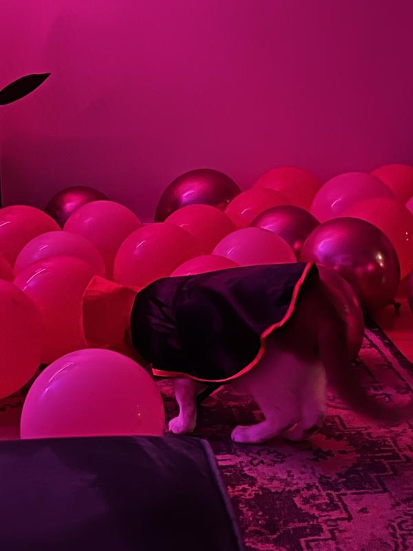 He would only join the party when he had his costume on