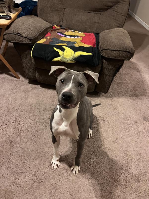 My young girl waiting for a treat.