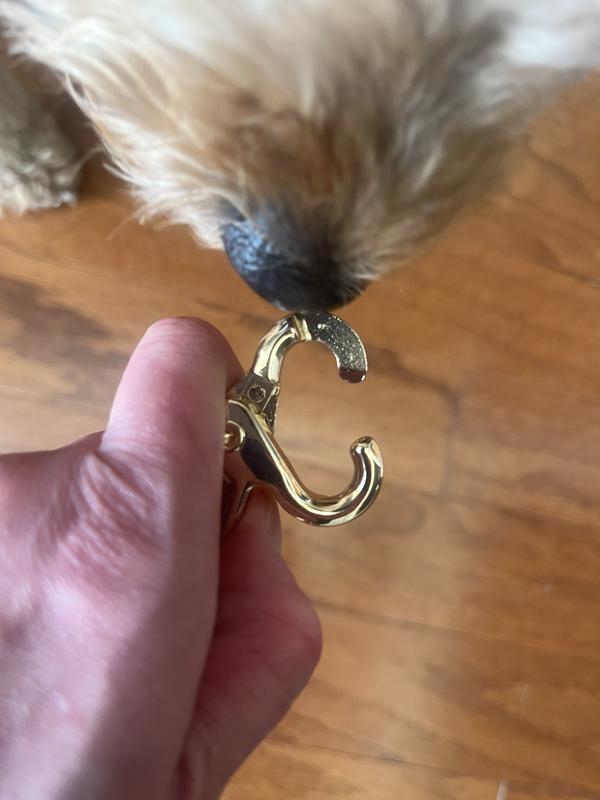 Clasps are slightly annoying to open (with a curious snoot included lol)