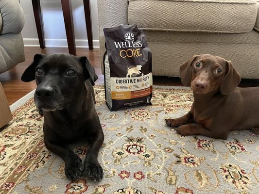 Waiting patiently for their new yummies.