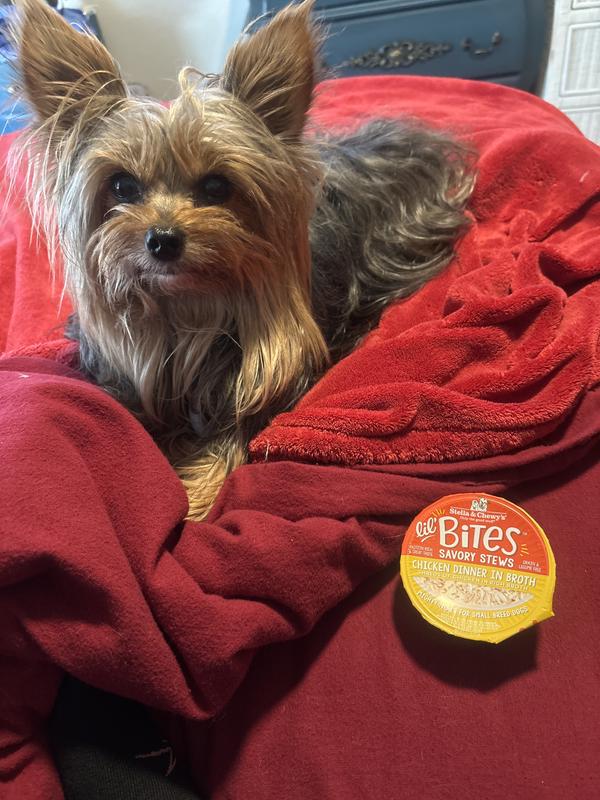 Waiting for his lil Bites