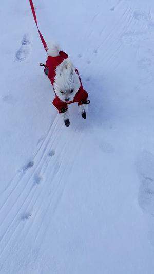 Niles goes zoom zoom!