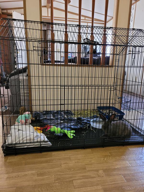 FRISCO Wire Small Pet House Shaped Cage, 48in