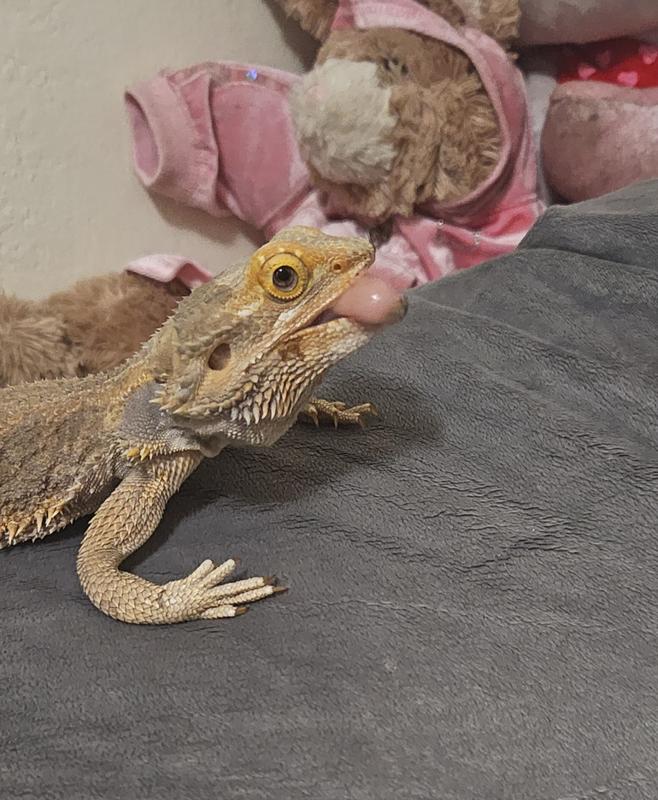 😝
