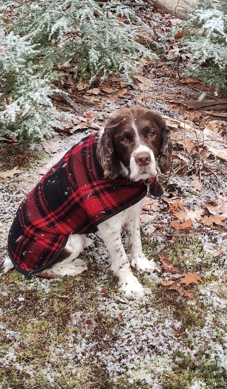 "enough with the pictures, let's get moving"