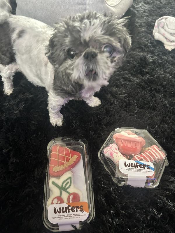 When you realize those cookies aren’t for humans… and they taste better.