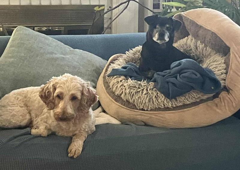 our two volunteer testers