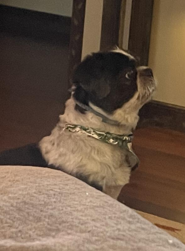 Waiting impatiently!!