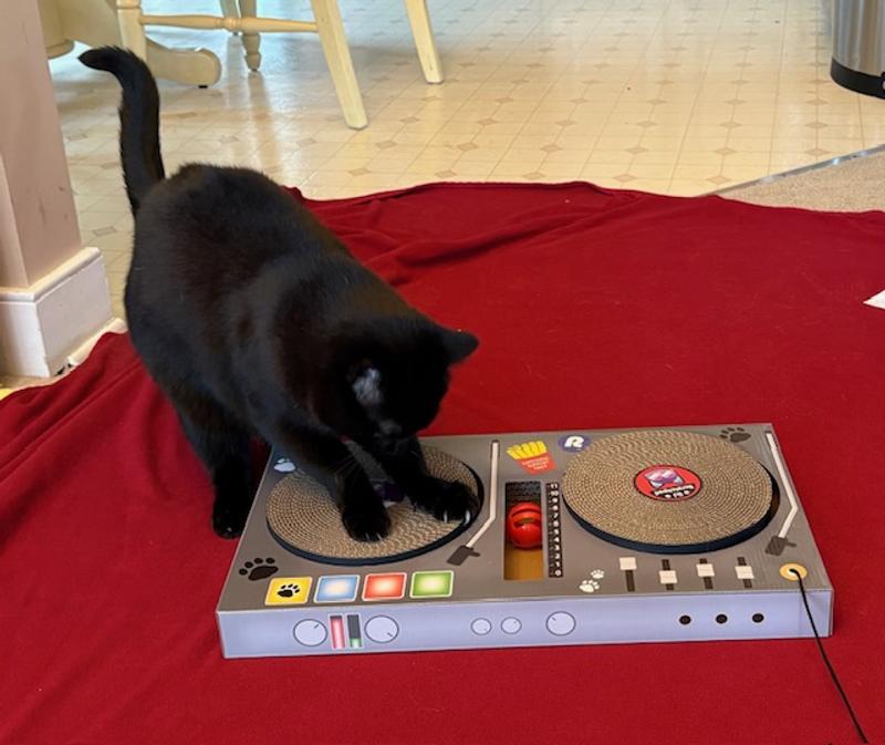 Trying scratchpad 1 . . .