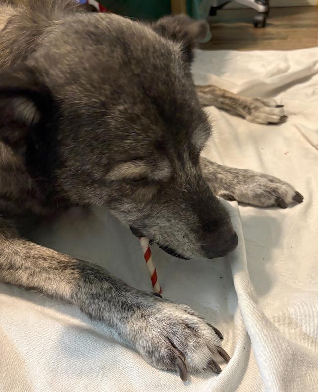 Shiloh Moore is enjoying his Pork Skin Twist